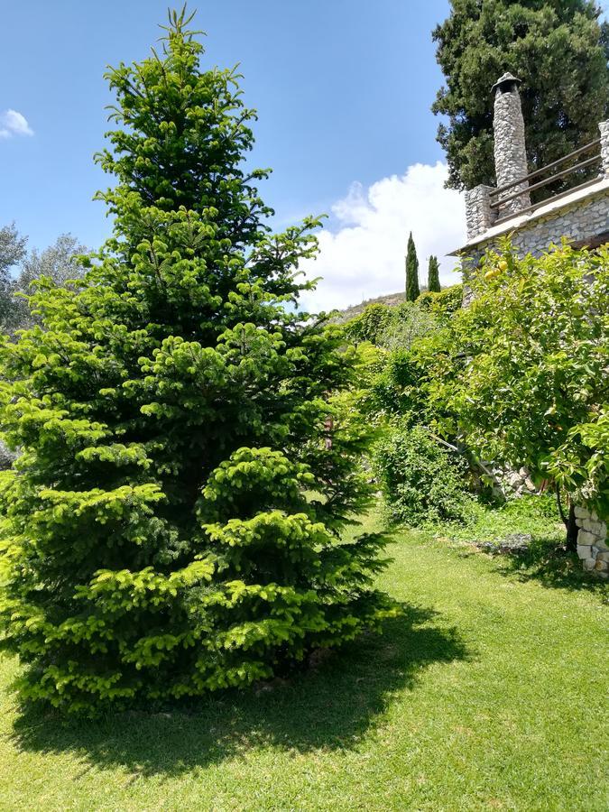 Bancal De Los Perez Carataunas Ngoại thất bức ảnh